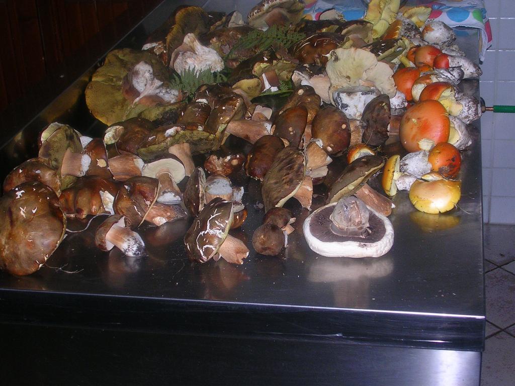 Sas Abbilas Bonorva Esterno foto